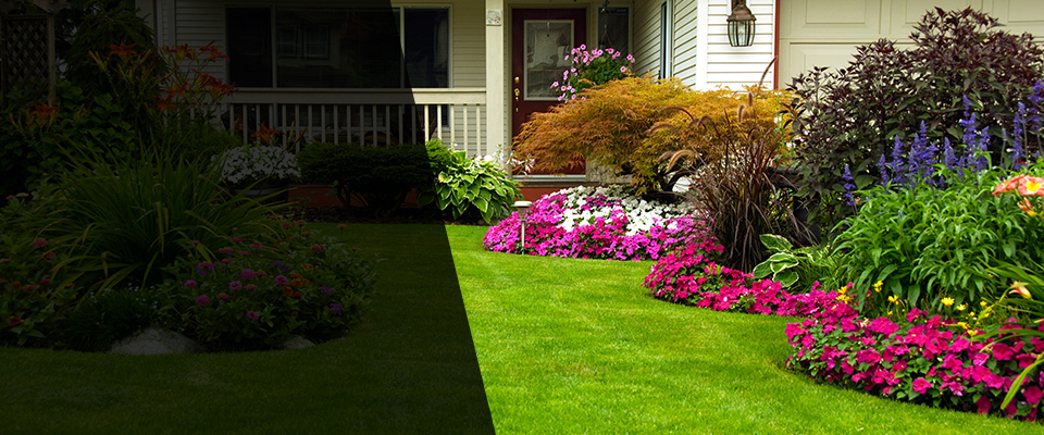 Candler Landscapers