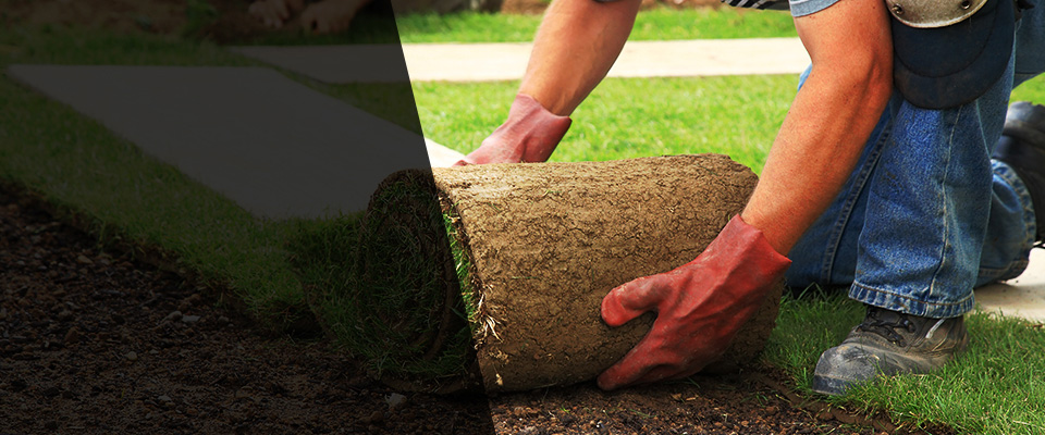 Candler Landscapers